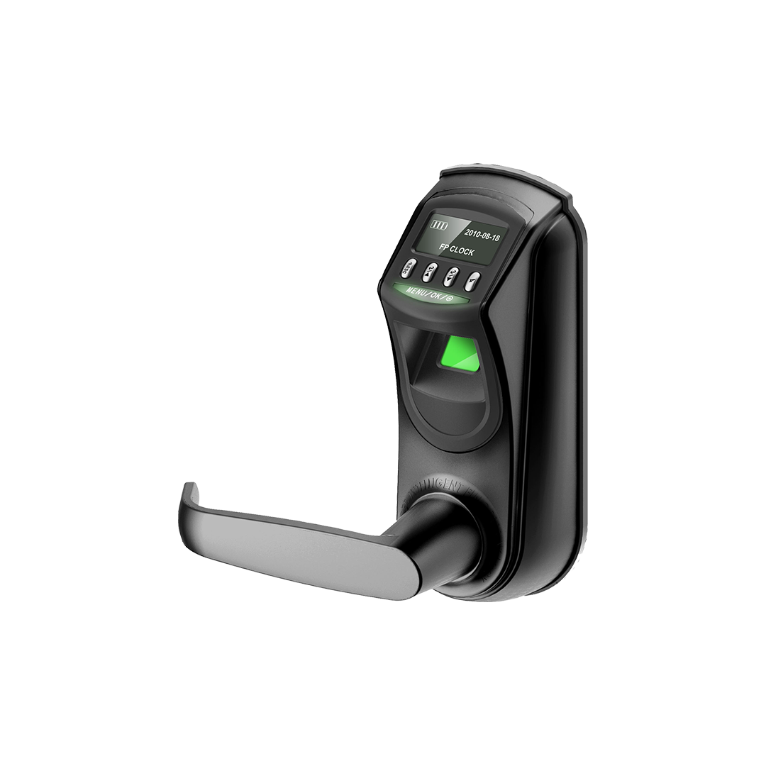 Electric Door Lock 2